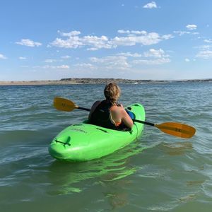 Meet your Posher, Lizzie